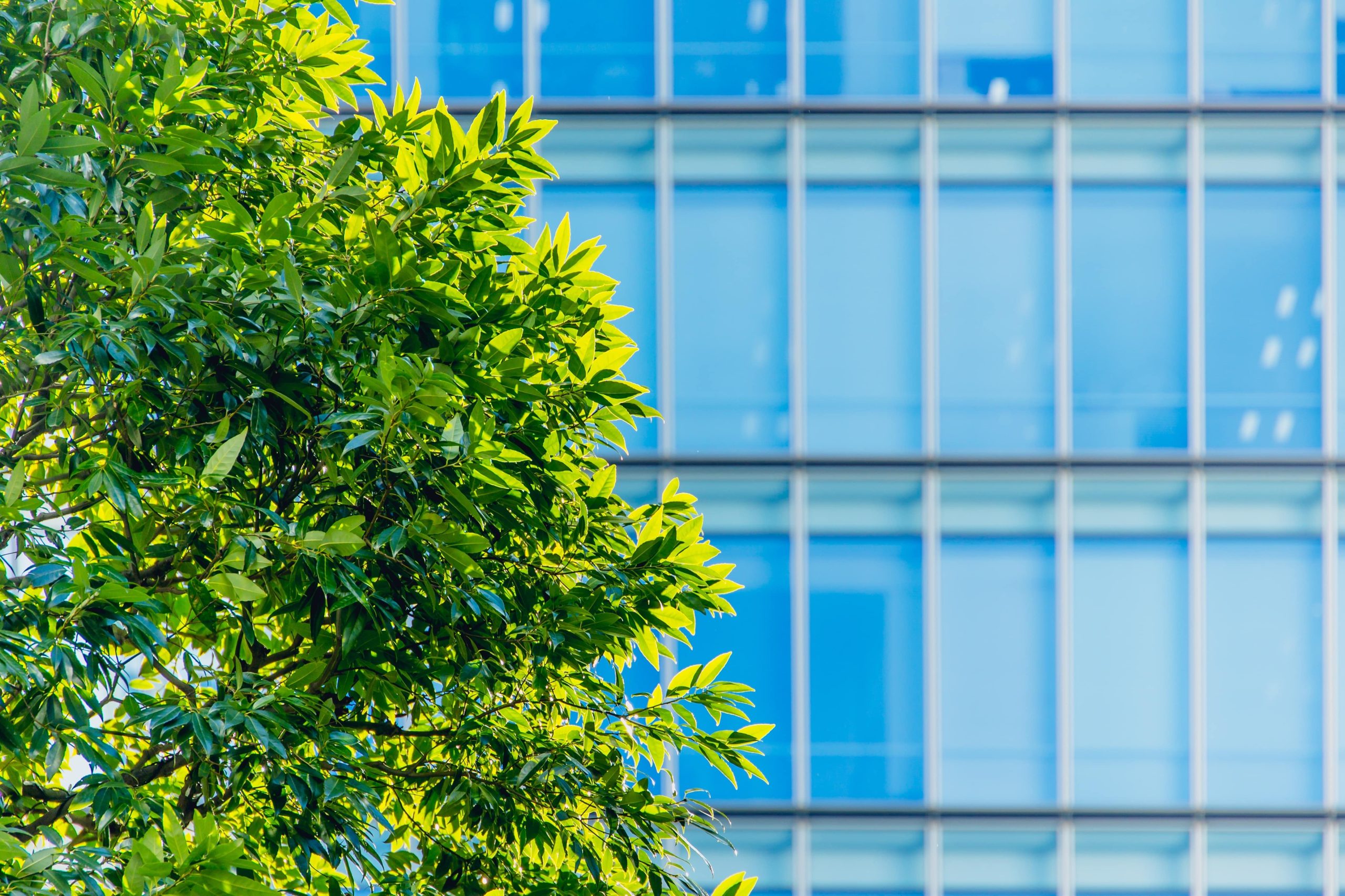 shutterstock_2561205097-min